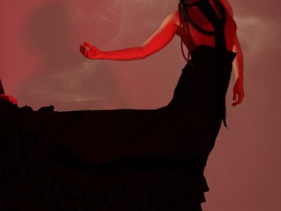 Salvador. Спектакль фламенко