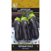 Баклажан Чёрный опал