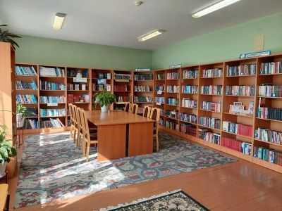 Снежинская сельская библиотека