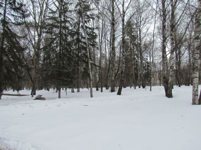 Могилы: Королева, Ермолаева, Корзинина, Блохиной – участники событий 1915 г., расстрелянные во время демонстрации