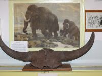 Катайский районный краеведческий музей