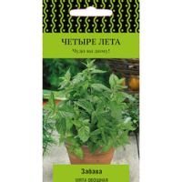 Мята овощная Забава (Четыре лета)