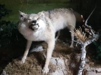 Куюргазинский историко-краеведческий музей