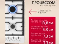 Газовая панель Hansa BHGW611839