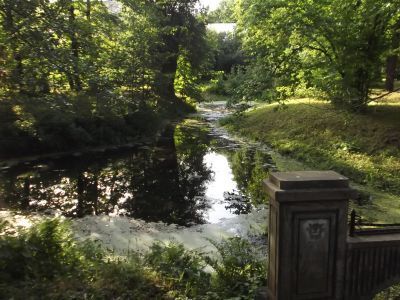 Сад ботанический