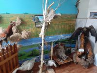 Музей краеведения с. Александров-Гай