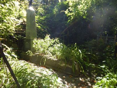 Могила Уфимцева Анатолия Георгиевича (1880-1936)