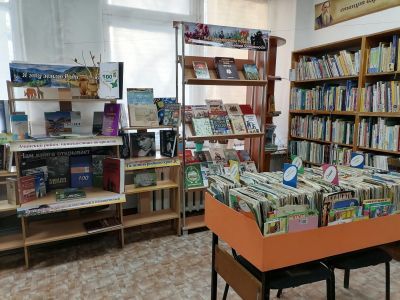 Лапшихинская сельская библиотека