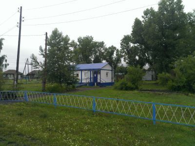 Школа (дерево)