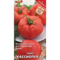 Томат Кассиопея F1