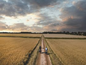 Дорожный велосипед Cube Touring One, год 2025, цвет Белый-Серый, ростовка 20