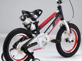 Детский велосипед Royal Baby Freestyle Space №1 16, год 2020, цвет Черный