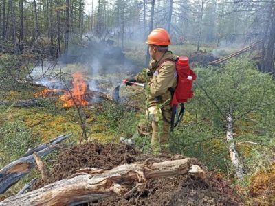 Ландшафтный пожар тушат в Оймяконском районе Якутии