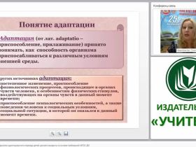 Образовательное пространство адаптационного периода детей раннего возраста на основе требований ФГОС ДО