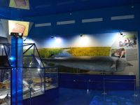 Астраханский краеведческий музей