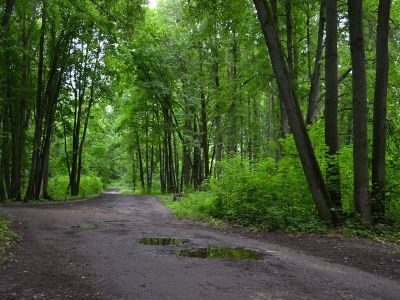 "Ботаника" - памятник садово-паркового искусства