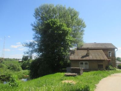 Усадьба П. Логинова. Парк