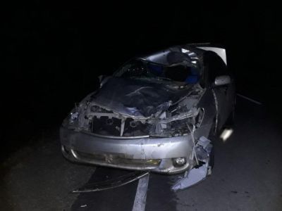 Коровы на дороге. В Горном районе Якутии за сутки произошло два похожих ДТП