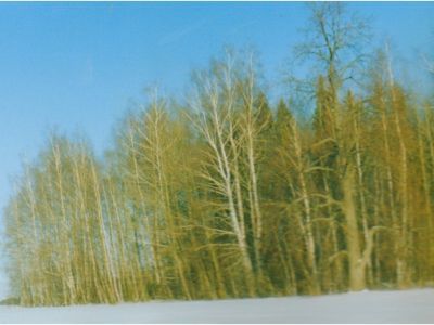 Священная роща