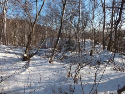 Береговая батарея 10-орудийная Нижняя пушечная