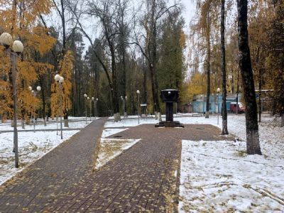 «Лесные сараи» − место массового расстрела и захоронения советских граждан в 1941-1942 гг., расположенное по ул. Дуки в городе Брянске