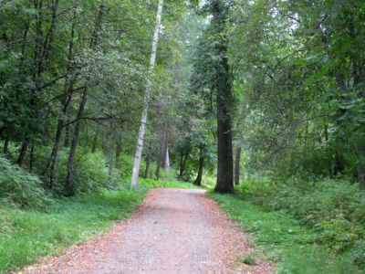 Усадьба И.Л.Горемыкина. Парк