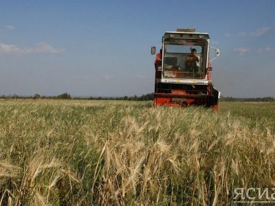 Правительство России направит в 2024 году около 8 млрд рублей на поддержку фермерских хозяйств