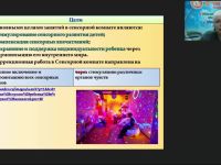 Международный вебинар "Игровые и коррекционно-развивающие занятия в сенсорной комнате"