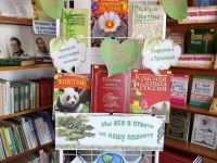 Дружненская сельская библиотека