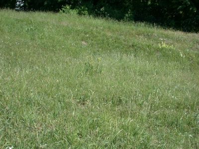 Столб на границе Тульской и Калужской губерний