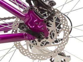 Женский велосипед Stinger Vega Evo 29, год 2021, цвет Фиолетовый, ростовка 19