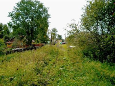 Усадьба Менделя. Парк регулярно-пейзажной планировки