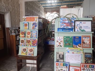 Большетолкишская сельская библиотека – филиал № 8