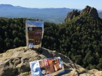 Консервы мясные кусковые стерилизованные "Говядина тушеная высший сорт" 325 г