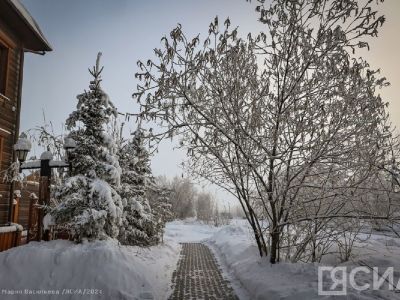 21 января — Емельянов день: приметы, что можно и нельзя делать