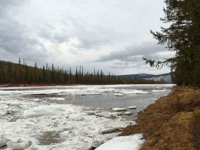 На реке Тяня в Олекминском районе уровень воды за сутки поднялся на 78 см