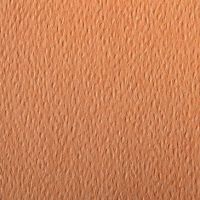 Бумага для пастели Clairefontaine "Etival color" 50x65 см, 160 г лосось