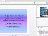 Профессиональный стандарт педагога: общекультурные и профессиональные компетенции