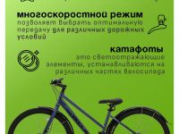 Женский велосипед Falcon Bike 29 Glory 1.0, год 2024, цвет Серый, ростовка 18