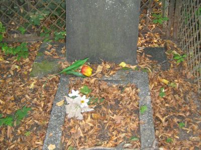 Могила Мензбира Михаила Александровича (1855-1935)