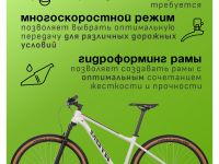 Горный велосипед Atom Bion Nine LTD, год 2024, цвет Белый, ростовка 18.5