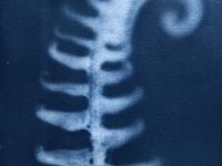 Набор для цианотипии nuance.