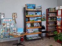 Нижнедобринская сельская библиотека