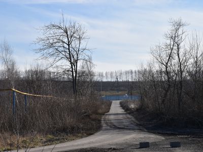 Липовая аллея