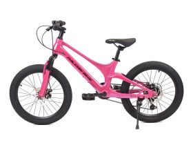 Детский велосипед Falcon Bike Mild 20, год 2024, цвет Черный