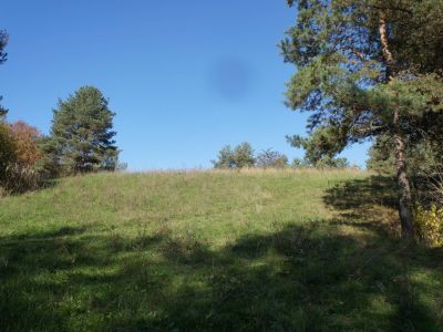 Место первой маевки  в 1905 г.