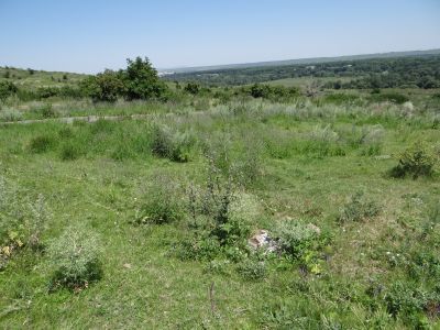 Обелиск командиру Советской Армии, погибшему в ВОВ (1943 г.)