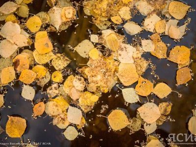 Народные приметы на 8 сентября: что нельзя делать в этот день