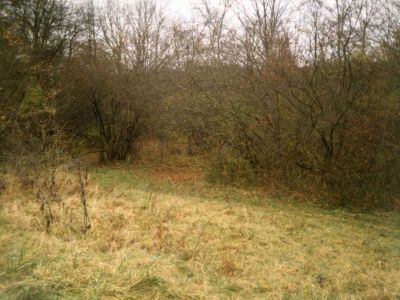 Памятное место, где 1 мая 1911 г. была проведена первая маевка. Установлен памятный знак