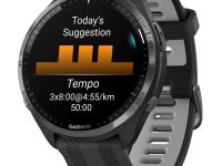Смарт-часы Garmin Forerunner 965 (Black/Powder gray) (010-02809-10)
